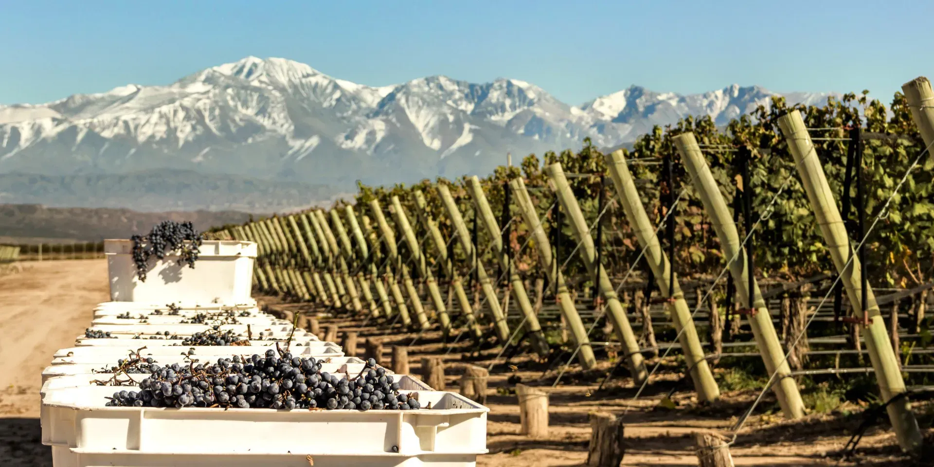 imgi_15_4_Viaje_al_norte_de_Argentina__Buenos_Aires_Mendoza_Salta_y_Jujuy_en_12_dias_zZbK9P2-thumbnail_webp-1920x960